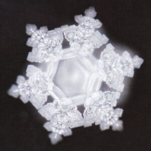 Masaru Emoto, vízkristályok, Szeretet Masaru Emoto, vízkristályok, Szeretet
