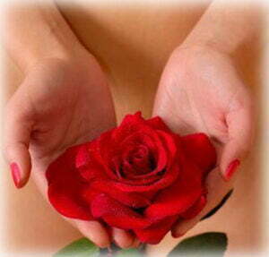 Beautiful red rose in woman hands - pregnancy love virginity concept