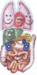 mosolygoszervek
