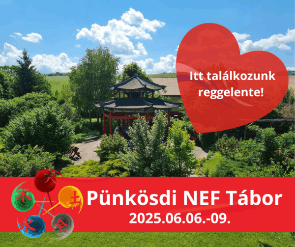 NEF Pünkösdi Tábor 2025