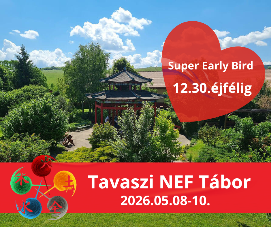 NEF, női csikung, tábor, elvonulás, női életmód, egészség, nőiség, tao, neikung, belső erő, női energia, női energia fitnesz, női erő, nő energia, pozsgai nikoletta, NEF oktató, női csikung oktatás, női csikung tanfolyam