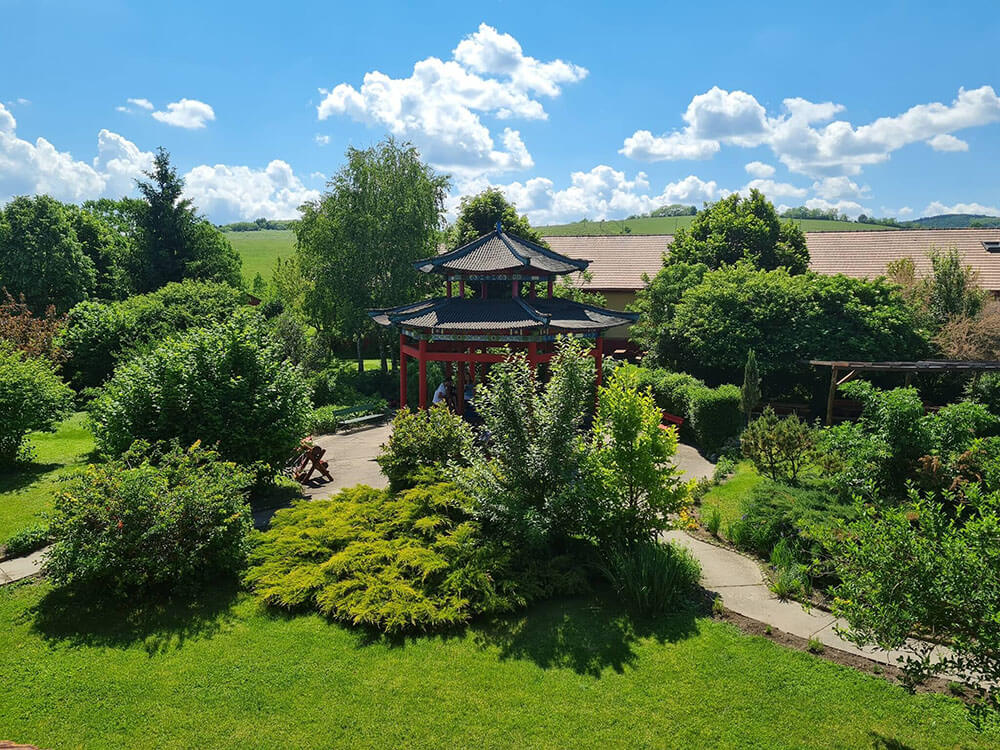 NEF Tavaszi Tábor 2026 - Image 9