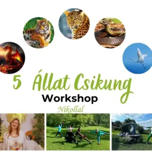Wudang 5 állat Csikung Workshop