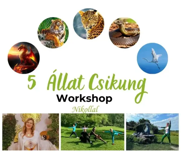 Wudang 5 állat Csikung Workshop