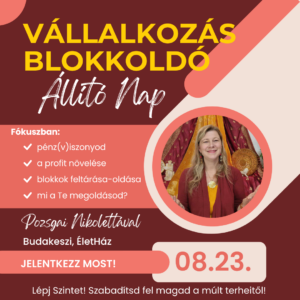 vállalkozási problémák, elmaradó profit, gondok, megoldás, rendszerállítás, szervezetfejlesztés, business coaching, vállalkozói blokkok oldása