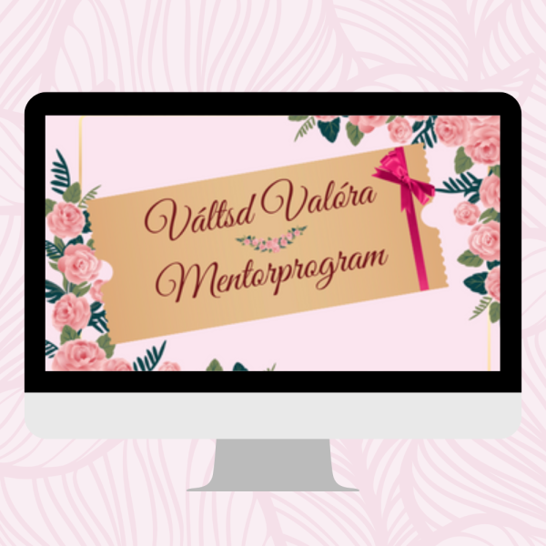 Váltsd valóra mentorprogram bronz